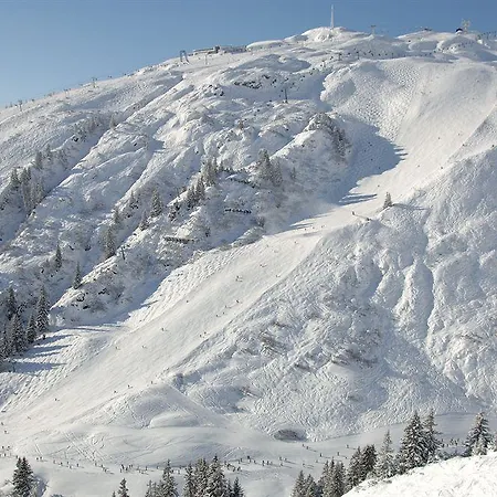 Raffl's Tyrol 4* סן אנטון